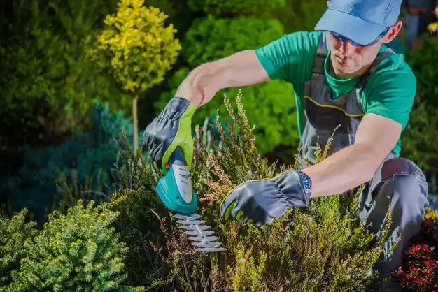 landscaping services Holts Summit